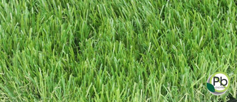 Turf Carolinas Piedmont Coronado Platinum