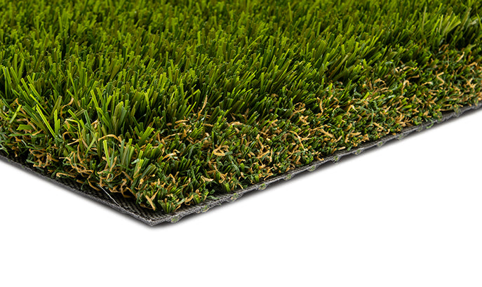 Turf Carolinas Piedmont MT80S Landscape