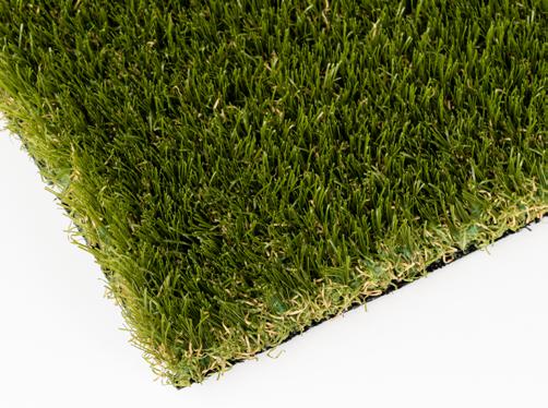 Turf Carolinas Piedmont RGO5 Reflect Guard