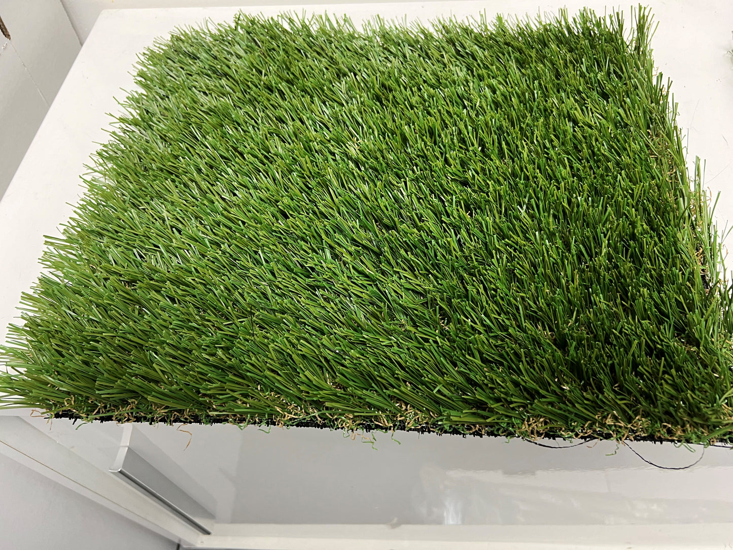 Turf Carolinas Piedmont South Lawn Light (V)