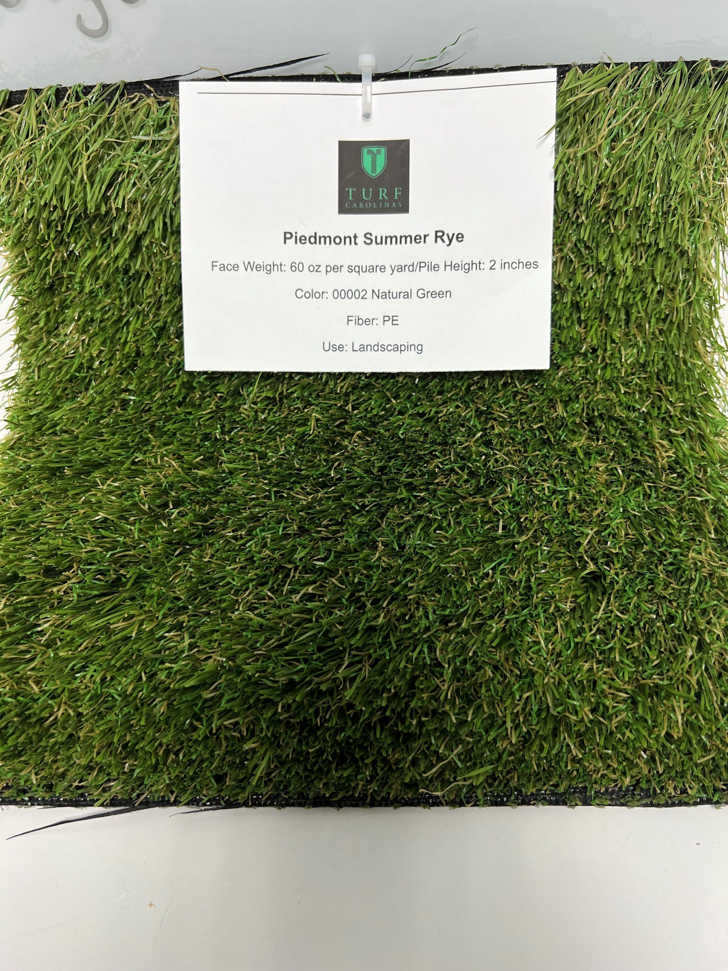 Turf Carolinas Piedmont Summer Rye