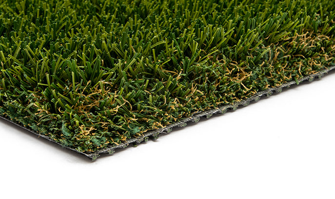 Turf Carolinas Piedmont OS 70