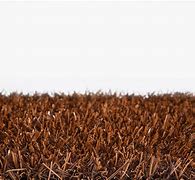 Turf Carolinas Narv Turf Systems GrassRoots 2" Slit Field Turf