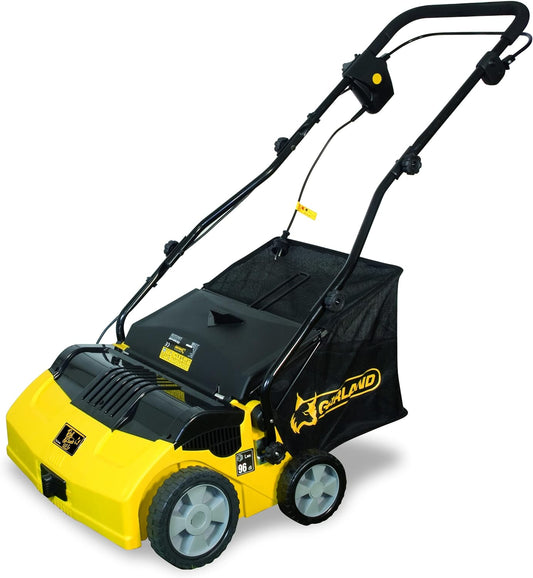Power Sweeper Electric