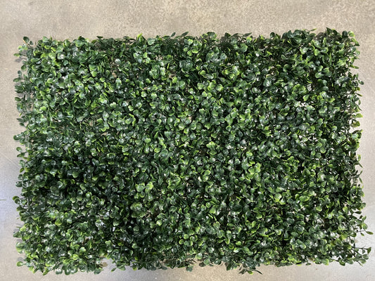Artificial Ivy