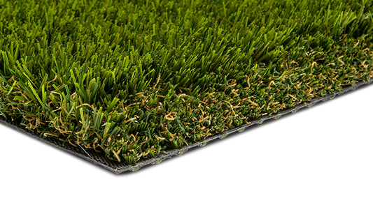 Turf Carolinas Piedmont MT80S Landscape