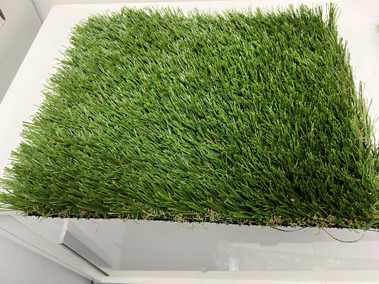 Turf Carolinas Piedmont South Lawn Light (V)