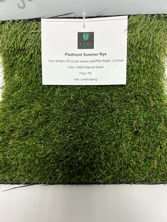 Turf Carolinas Piedmont Summer Rye