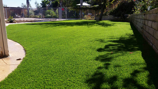 Turf Carolinas Piedmont Maxx Natural