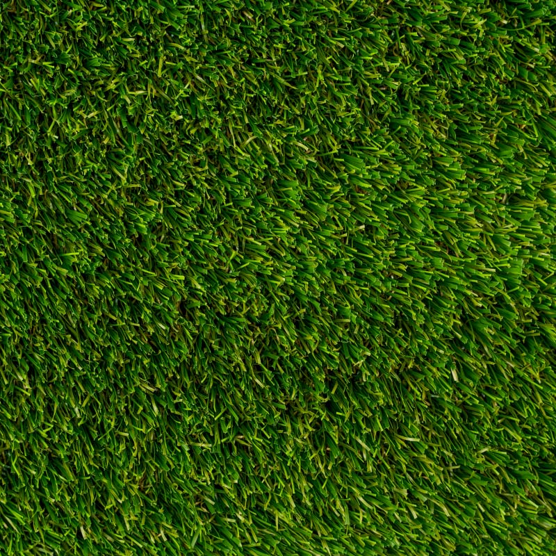Turf Carolinas Envysod