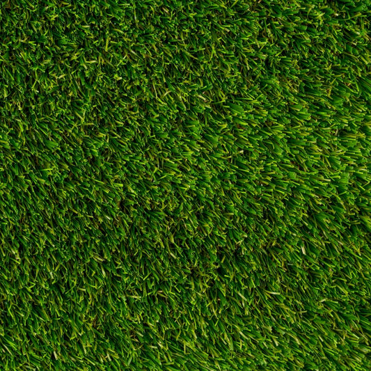 Turf Carolinas Envysod